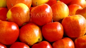 Finanţarea consumului de fructe în şcoli continuă în anul şcolar 2016-2017