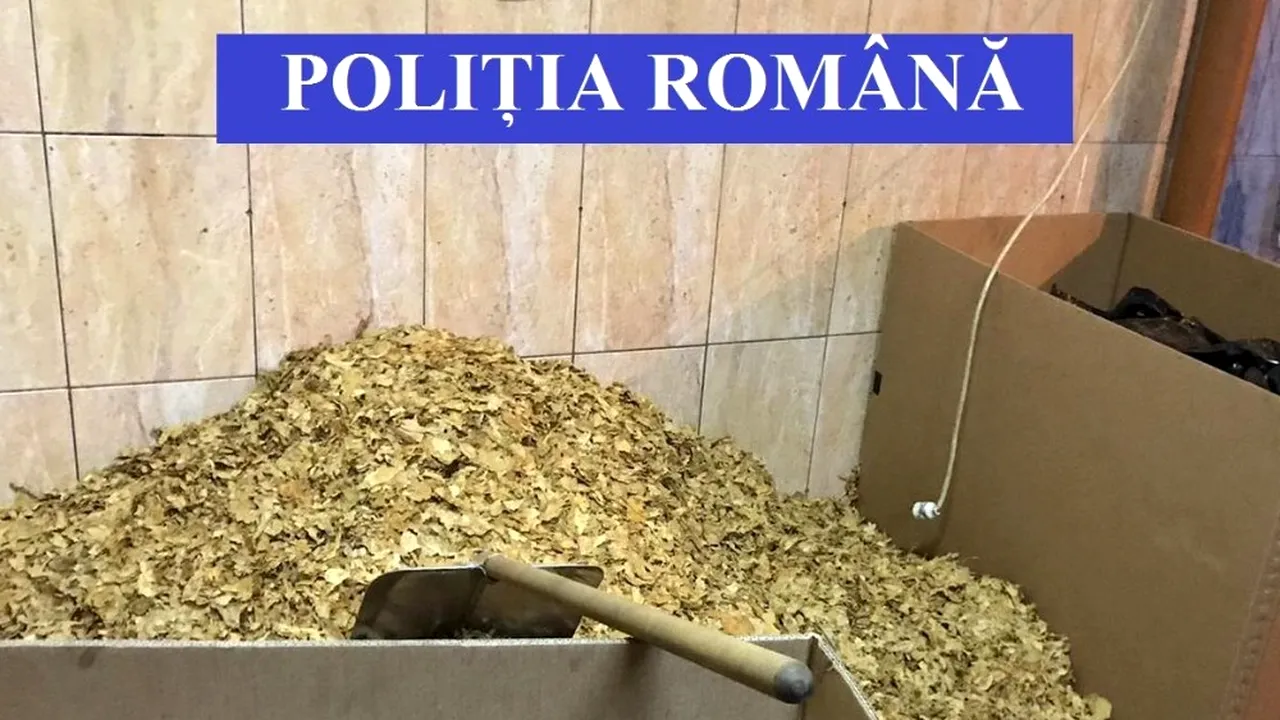 13 persoane audiate după ce poliţiştii au găsit la percheziţii o tonă de tutun de contrabandă şi peste 10.000 euro 