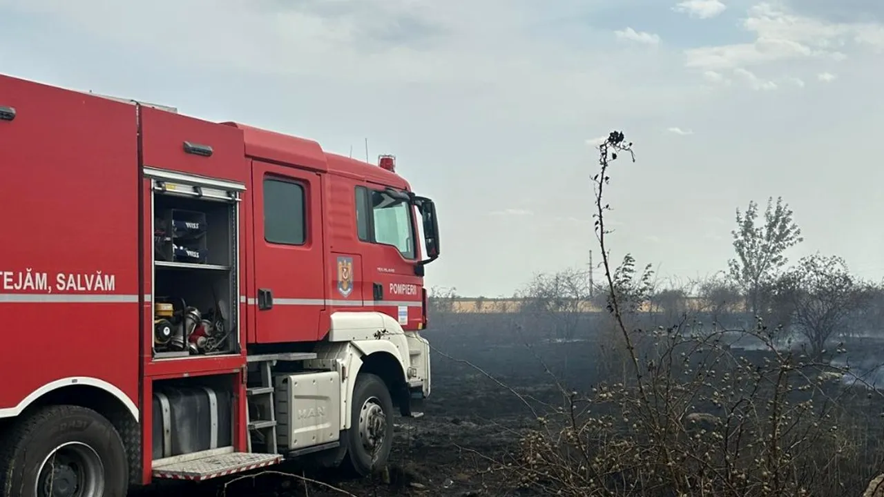 Incendiu uriaş pe Şoseaua Olteniţei, din Popeşti-Leordeni, Ilfov. A fost transmis un mesaj RO-Alert