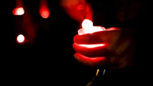 Profesorul Romul Munteanu a murit