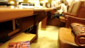 Romanian Parliamentary Polls Line Up 2965 Candidates