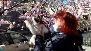 S-a găsit explicaţia ştiinţifică pentru care Covid-19 lasă pacienţii fără miros