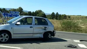 Handbaliste brazilience, legitimate la Măgura Cisnădie, ranite într-un accident pe DN 1 | FOTO