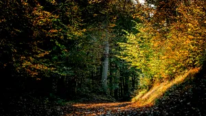 August se încheie cu caniculă și furtuni. Ce anunță ANM pentru ultima săptămână a lunii