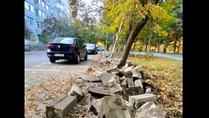 Primăria Sectorului 3 a fost amendată de Garda de Mediu pentru lucrări fără avize în Parcul IOR