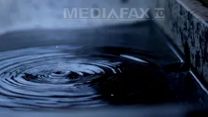 Acumulările de apă din regiunea bulgară Stara Zagora sunt poluate, avertiează Greenpeace