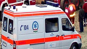 Romanian Minibus Plunges Into Ditch In W Hungary