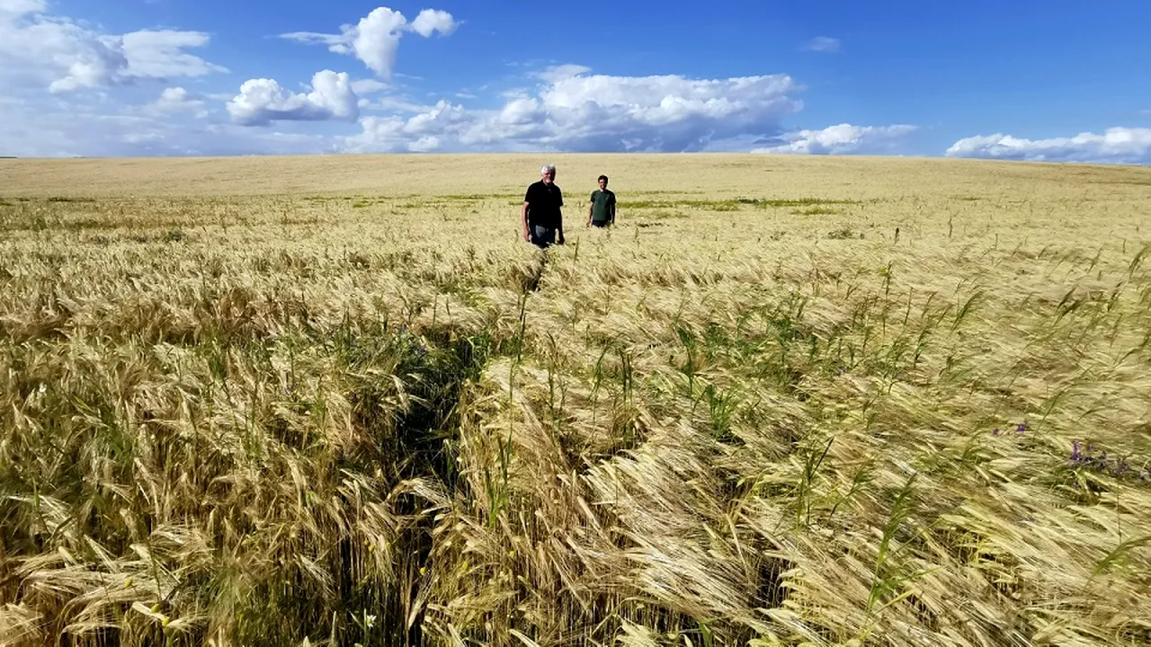 BioFarmland Sărbătoreşte 20 de Ani de Excelenţă în Agricultura Ecologică