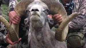 Dentistul care l-a ucis pe leul Cecil stârneşte furie din nou. După 4 ani, a vânat un berbec sălbatic protejat