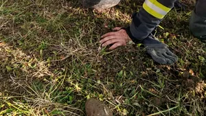 Incident la un aerodrom din Neamț: Un avion ultraușor a aterizat de urgență după o defecțiune