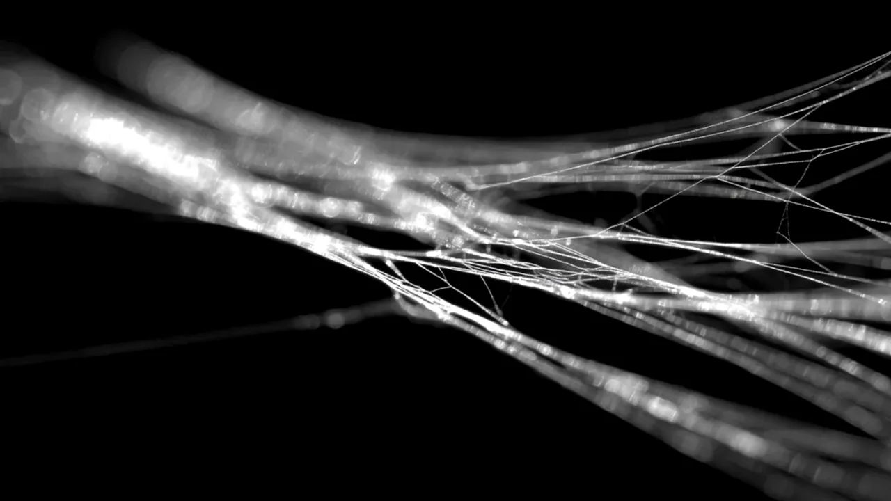 Un material natural mai rezistent decât oțelul. Cercetătorii explică secretul molecular din spatele forței sale