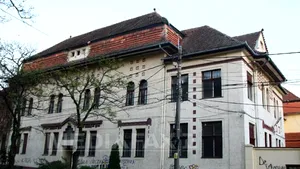 ANCHETĂ: Familia Cârpaci, care a preluat o clădire a Spitalului de Copii Timişoara, are 144 de proprietăţi - FOTO