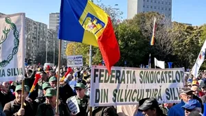 Protest în Piața Victoriei: Silvicultorii amenință cu greva generală