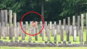 Actor din filmul ”Hobbitul”, filmat în timp ce dansa gol puşcă ”Haka” la Sarmizegetusa. Cum au reacţionat agenţii de pază | FOTO