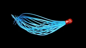 Spermatozoizii i-au păcălit pe oamenii de ştiinţă timp de 350 de ani