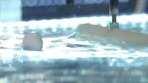 Cercetătorii au creat o 