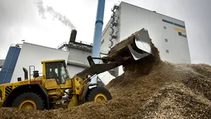 Romania’s Green House Progr Might Include Biomass As Alternative Energy Source
