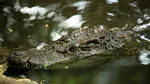 Panică generată de o fotografie AI. Un bărbat riscă până la 10 ani de închisoare