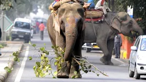 New Delhi a înregistrat cele mai scăzute temperaturi din ultimii 40 de ani