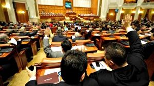 EDITORIAL Crenguţa Nicolae: Un cadou pentru noi: jumătate de an de caterincă electorală
