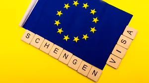 Cu ce planuri intră în noul an transportatorii rutieri de mărfuri? “Tatonăm opţiunea să ieşim peste graniţe dat fiind intrarea în Schengen terestru”