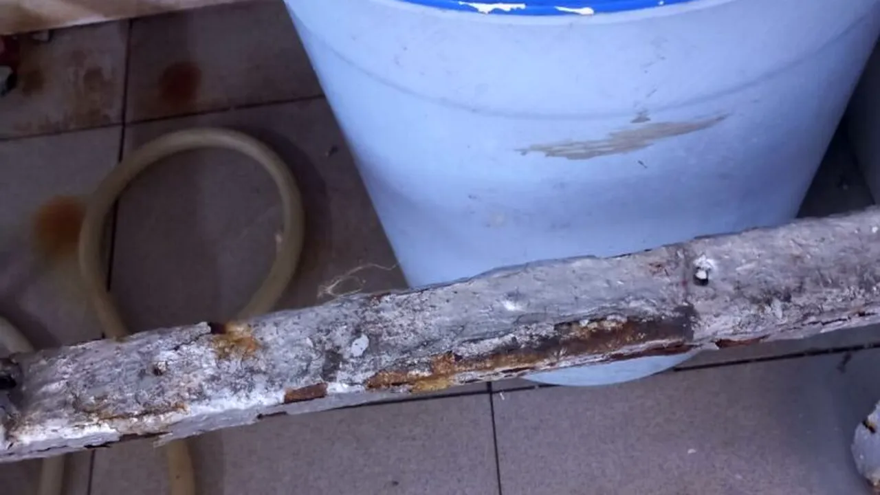 Carne de miel în condiții improprii și mizerie. Amenzi de peste de 3,8 milioane de lei date de ANPC