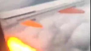 PANICĂ în aer: Momentul în care motorul unui avion scoate flăcări, în urma impactului cu mai multe păsări/ VIDEO