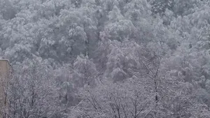 GALERIE FOTO, VIDEO Coloane de maşini de 6 kilometri pe DN1, la Predeal; traficul este îngrenuat din cauza zăpezii