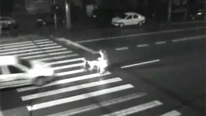 Taximetrist arestat după ce a accidentat o femeie pe trecerea de pietoni - VEZI VIDEO