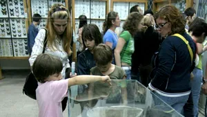 Peste 3.200 de muzee din 40 de ţări din Europa sărbătoresc sâmbătă Noaptea Europeană a Muzeelor