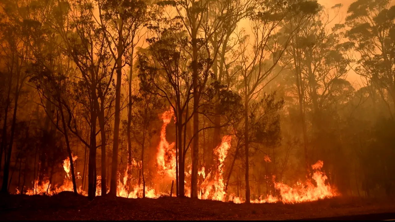 Alarmant. Pompierii hunedoreni se luptă cu 13 incendii de vegetație simultane