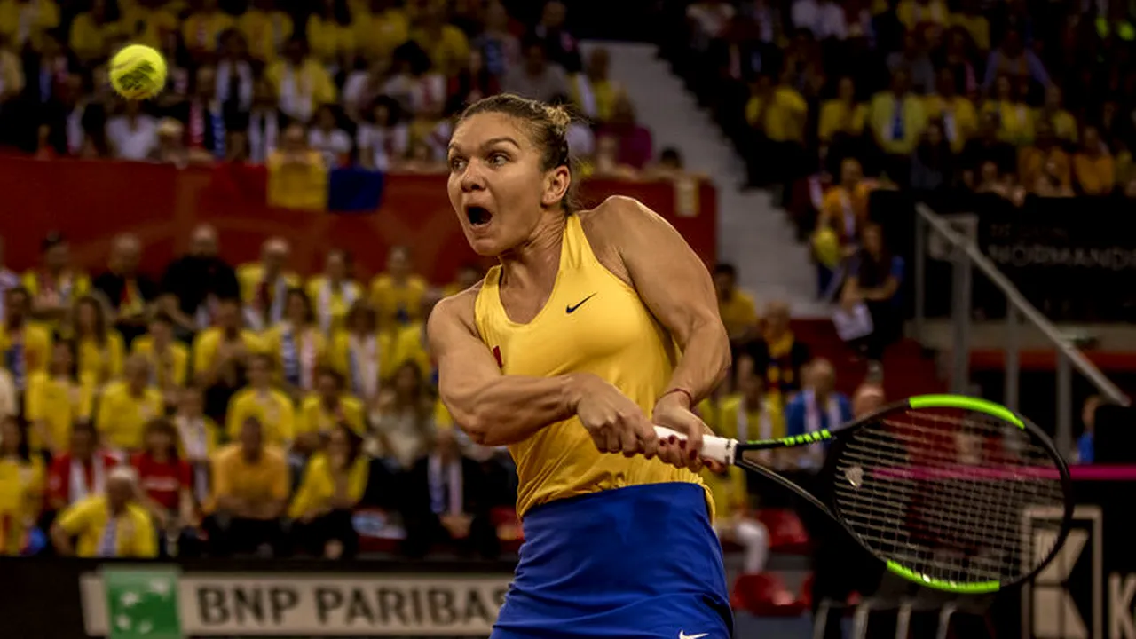 FED Cup. Simona Halep câştigă şi ne readuce în avantaj (Franţa - România, 1-2) , după o luptă incredibilă cu Garcia. Visăm la o finală istorică în Fed Cup