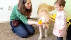 Galerie FOTO: Terapie cu căţei la Cluj. S-a deschis prima clinică de terapie asistată de animale din România