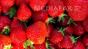 Resturi de pesticide, descoperite în peste jumătate din probele de alimente şi băuturi britanice
