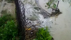 FOTO Gospodării şi drumuri inundate într-o comună din Alba, după o ploaie torenţială şi căderi de grindină