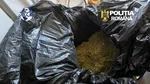 Rețea de trafic de droguri, coordonată din penitenciar, destructurată. Șase persoane, arestate preventiv