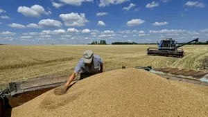 Ucraina caută rute alternative pentru exportul cerealelor, pe fondul blocării porturilor de către Rusia