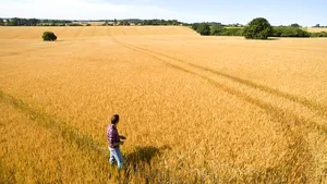 Creşterea productivităţii fermierilor români în culturile de cereale prin strategii inovatoare