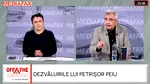 Petrișor Peiu, despre posibilitatea unui premier tehnocrat: „Cel care se duce să obțină votul politic al Parlamentului, sub nicio formă nu este tehnocrat”