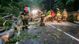 Vijeliile au făcut prăpăd în București și alte 60 de localități din 14 județe. S-au înregistrat victime și pagube materiale