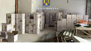 Alte pastile şi fiole dopante, în valoare de un milion de euro, au fost găsite în Constanţa