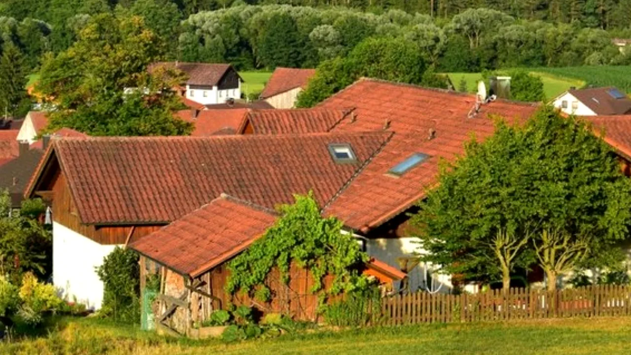 Moştenire de 7,5 milioane de dolari, lăsată de o vecină. Vestea a venit ca un şoc pentru autorităţi