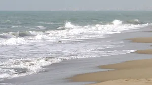 Sicilia: O turistă din Germania, grav rănită după ce a fost atacată de o haită de câini