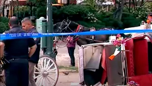New York: Un adolescent de 18 ani a murit după ce a fost aruncat dintr-o trăsură scăpată de sub control în Central Park