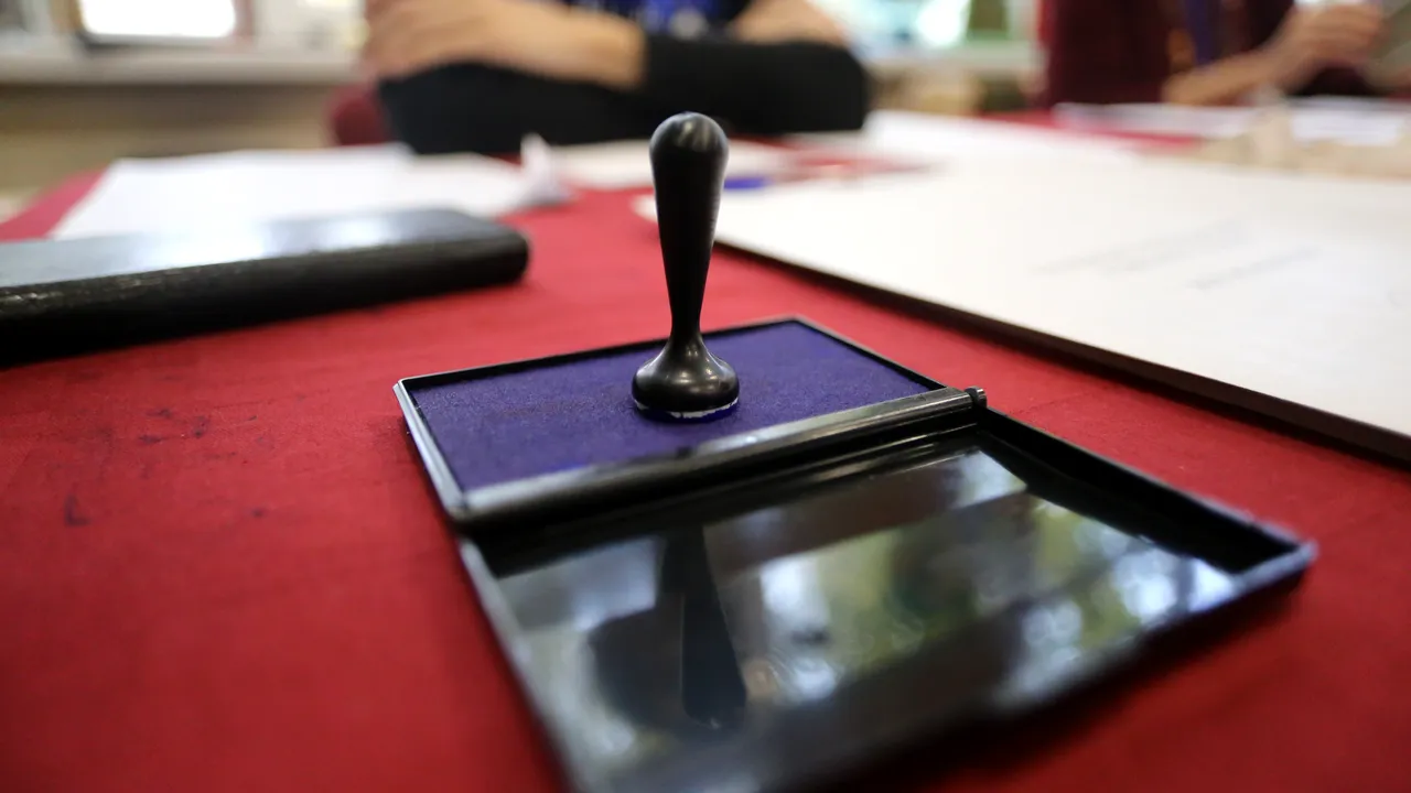 Alegeri locale 2020, în cifre. Pe 27 septembrie eşti aşteptat să-ţi alegi primarul pentru următorii 4 ani
