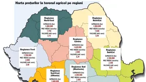 Terenul agricol din România valorează 25 de miliarde de euro. Unde sunt cele mai ieftine şi cele mai scumpe terenuri