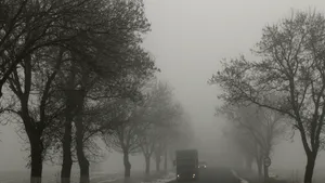 Avertisment Infotrafic: Polei şi ceaţă pe unele drumuri din ţară