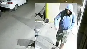 Suspectul crimelor de la Timişoara şi-a recunoscut faptele
