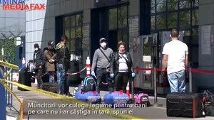 După Germania şi Olanda, muncitorii români pleacă acum la muncă în Anglia. Ce îi atrage la meleagurile britanice