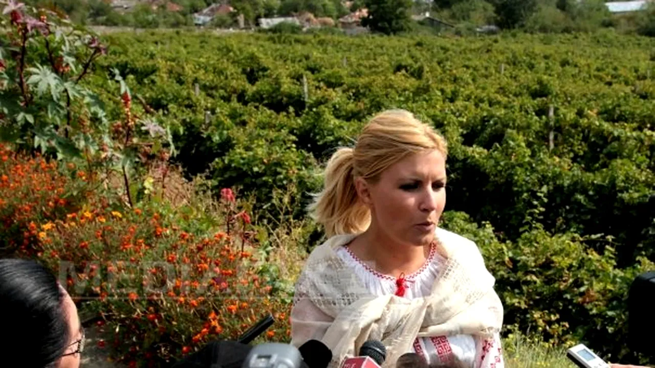 Udrea: Cea mai mare evaziune din turism o fac proprietarii de pensiuni din mediul rural